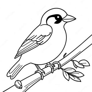 Oriolen Ausmalbild | Orioles Ausmalbild