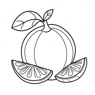 Orangenfrucht Ausmalbild | Orange Ausmalbild