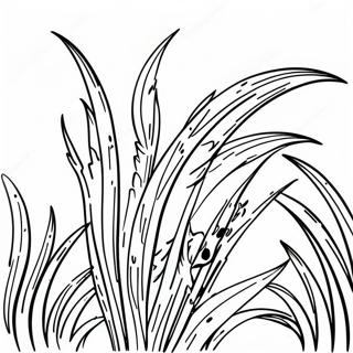 Gras Ausmalbild | Gras Ausmalbild