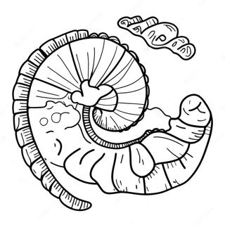 Fossilien Ausmalbild | Fossil Ausmalbild
