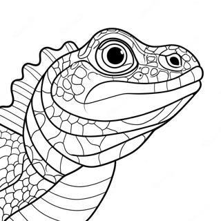 Reptilien Ausmalbild | Reptilien Ausmalbild
