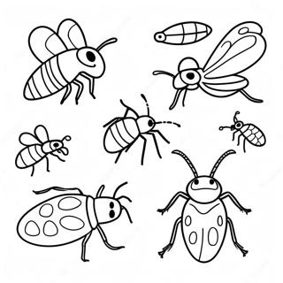 Insekten Ausmalbild | Käfer Ausmalbild