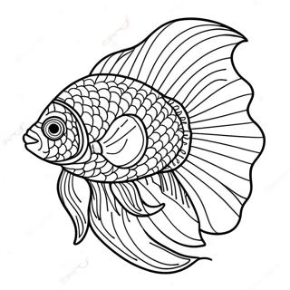 Bunter Beta Fisch schwimmend Ausmalbild | Beta Fisch Ausmalbild