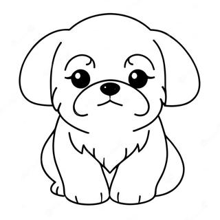 Shih Tzu Welpe Ausmalbild | Shih Tzu Ausmalbild