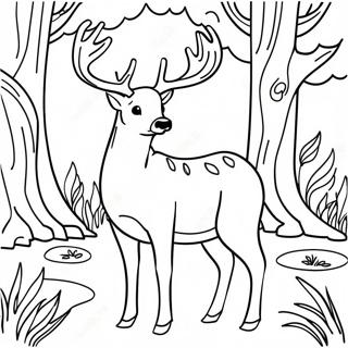 Hirsch im Wald Ausmalbild | Buck Ausmalbild