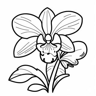 Schöne Orchidee in Blüte Ausmalbild | Orchidee Ausmalbild