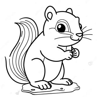 Eichhörnchen Malvorlagen