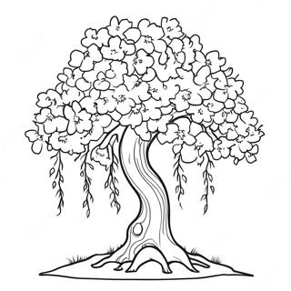 Kirschblütenbaum Ausmalbild | Kirschblüte Ausmalbild