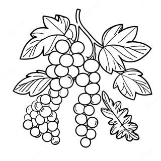 Reben Ausmalbild | Wein Ausmalbild
