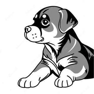Verspielter Rottweiler Welpe Ausmalbild | Rottweiler Ausmalbild