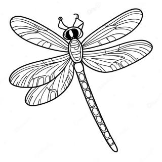 Libelle Ausmalbild | Libelle Ausmalbild