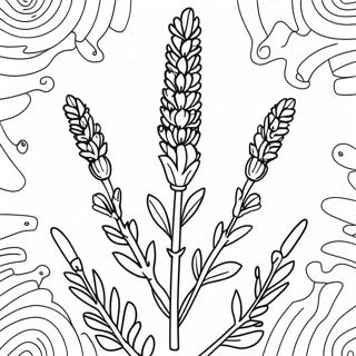 Lavendelblumen Ausmalbild | Lavendel Ausmalbild