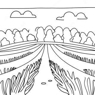 Schönes Lavendelfeld Ausmalbild | Lavendel Ausmalbild
