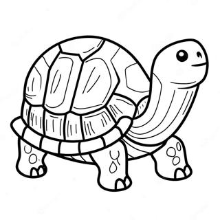 Schildkröte Ausmalbild | Schildkröte Ausmalbild