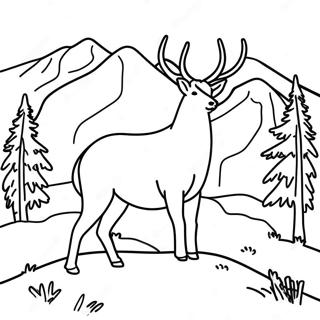 Montana Tierwelt Ausmalbild | Montana Ausmalbild