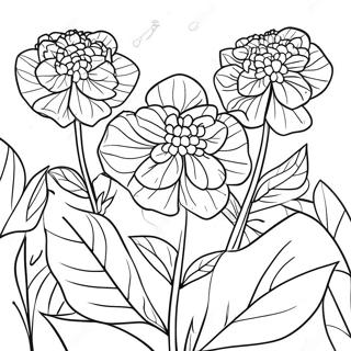 Schöner Hortensiengarten Ausmalbild | Hortensie Ausmalbild
