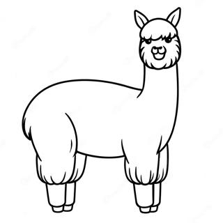 Alpaka Ausmalbild | Alpaka Ausmalbild