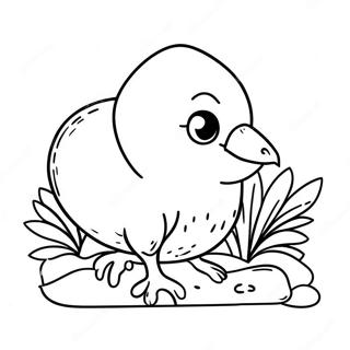 Niedliche Kiwi-Vogel Ausmalbild | Kiwi Ausmalbild