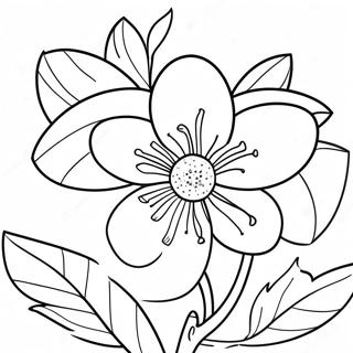 Orangenblüte Ausmalbild | Orangenblüte Ausmalbild