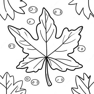 Herbstliches Ahornblatt Ausmalbild | Ahornblatt Ausmalbild