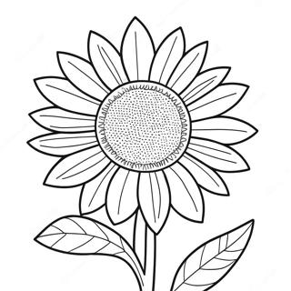 Lebendiger ukrainischer Sonnenblume Ausmalbild | Ukrainisch Ausmalbild