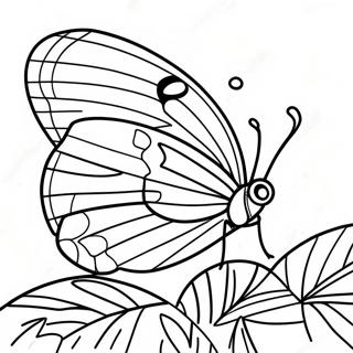 Buntes Blattflügel-Schmetterling Ausmalbild | Blattflügel Ausmalbild