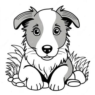 Border Collie Welpe Ausmalbild | Border Collie Ausmalbild