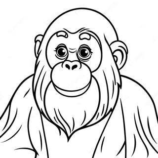Orang-Utan Ausmalbild | Orang-Utan Ausmalbild