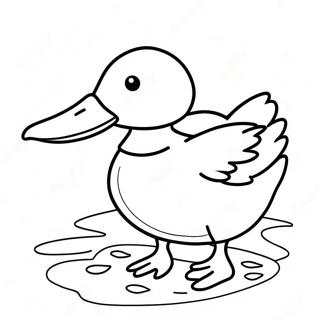 Ausmalbild einer Stockente | Stockente Ausmalbild