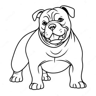American Bully Hund Ausmalbild | American Bully Ausmalbild