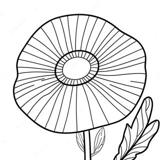 Mohnblume Ausmalbild | Mohnblume Ausmalbild