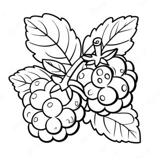 Himbeere Ausmalbild | Himbeere Ausmalbild