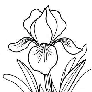 Ausmalbild von Irisblume | Schwertlilie Ausmalbild