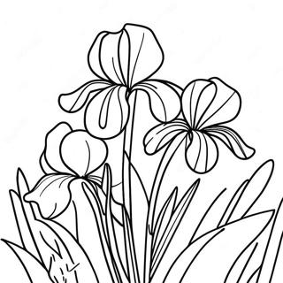 Ausmalbild von schönem Irisgarten | Schwertlilie Ausmalbild