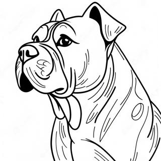 Cane Corso Ausmalbild | Cane Corso Ausmalbild