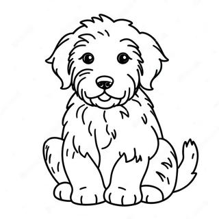 Aussiedoodle Welpe Ausmalbild | Aussiedoodle Ausmalbild