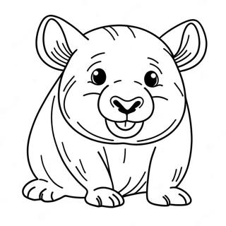 Wombat Ausmalbild | Wombat Ausmalbild