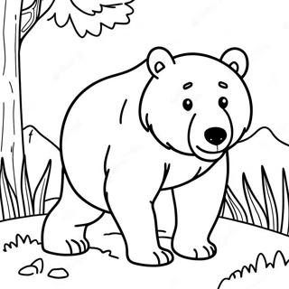 Brauner Bär Ausmalbild | Brauntöne Ausmalbild