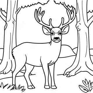 Majestätischer Maultierhirsch im Wald Ausmalbild | Maultierhirsch Ausmalbild