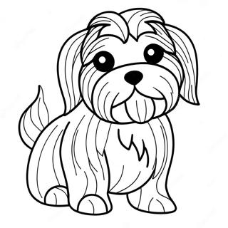 Havaneser Hund Ausmalbild | Havaneser Ausmalbild