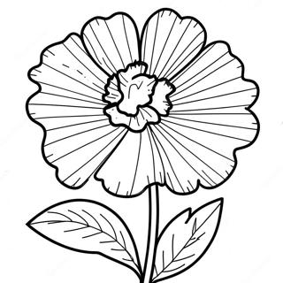 Nelkenblume Ausmalbild | Nelke Ausmalbild