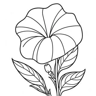 Ausmalbild der Morgenglory-Blume | Morgenglanz Ausmalbild