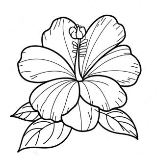 Hibiskusblume Ausmalbild | Hibiskus Ausmalbild