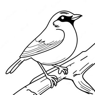 Robin in Aktion Ausmalbild | Junge Gerechtigkeit Ausmalbild