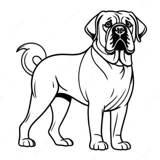 Englischer Mastiff steht stolz Ausmalbild | Englischer Mastiff Ausmalbild
