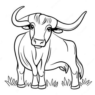Texas Longhorn Rind Ausmalbild | Texas Ausmalbild