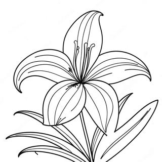 Lilienblume Ausmalbild | Lilienblume Ausmalbild